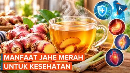 Diminati Pasar Jerman dan Timur Tengah, Apa Manfaat Jahe Merah?