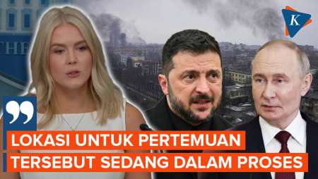 Pertemuan Putin-Zelensky Mulai Dirancang, Lokasi Masih Rahasia