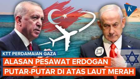 Pesawat Erdogan Sempat Putar-putar Di Atas Laut Merah Sebelum Mendarat Di Mesir, Ada Apa?