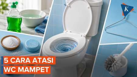 Lima Cara Atasi WC Mampet