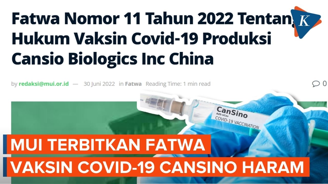 MUI Sebut Vaksin Covid-19 Cansino Haram karena Pakai Ginjal Embrio Bayi Manusia