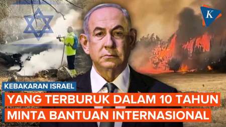 Kebakaran Hutan Darurat Nasional, Israel Kini Sibuk Cari Bantuan Internasional