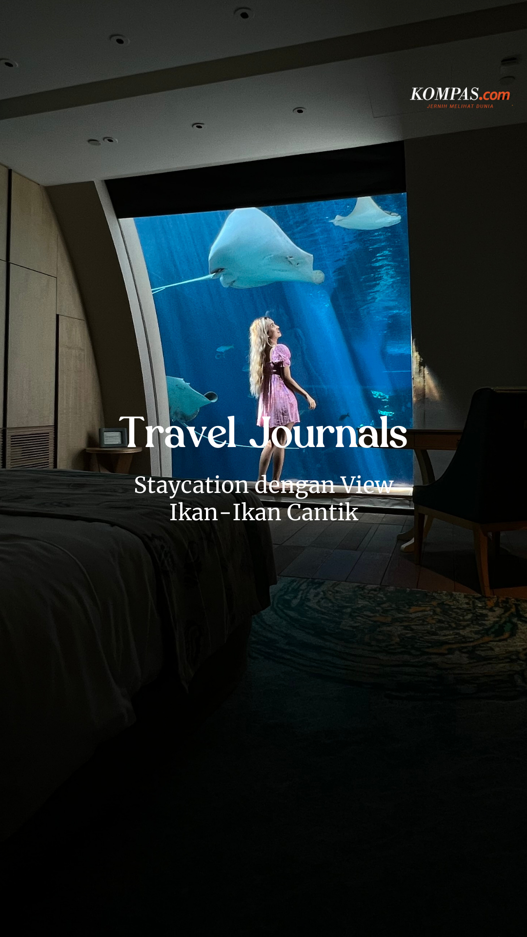 TRAVEL JOURNALS - Staycation dengan View Ikan-Ikan Cantik!