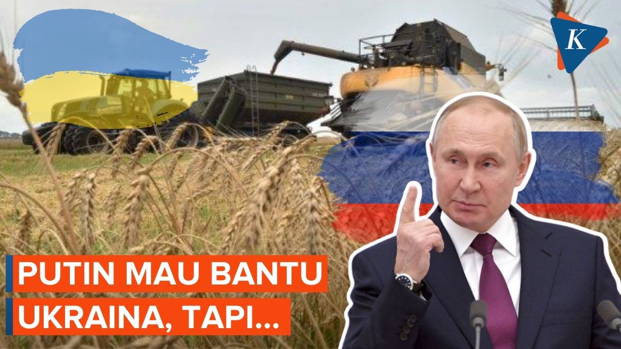 Putin Mau Fasilitasi Ekspor Gandum Ukraina, Tapi Ada Syaratnya!