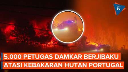 5.000 Petugas Damkar Diterjunkan untuk Aturan Kebakaran Hutan di Portugal,…