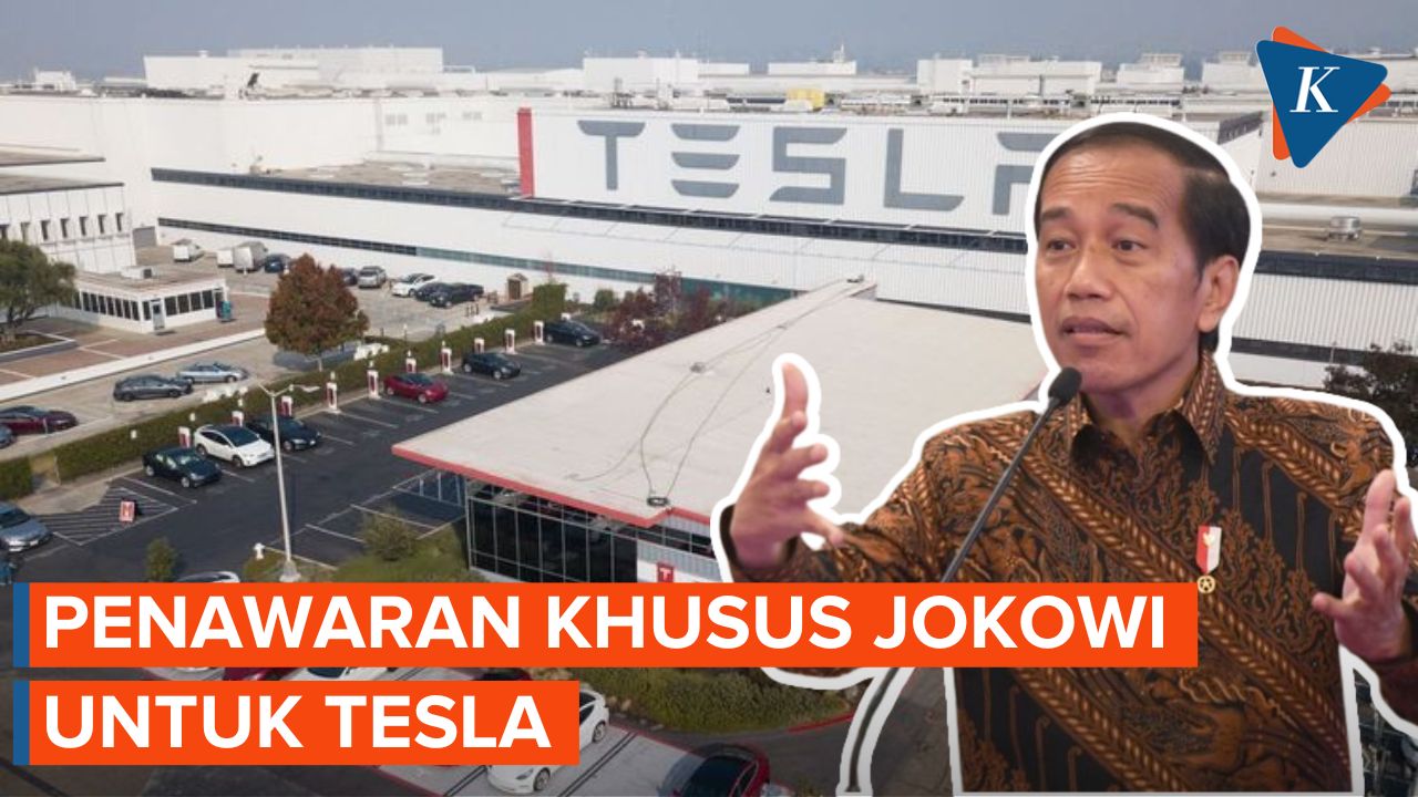 Jokowi Beri Penawaran Khusus untuk Tesla