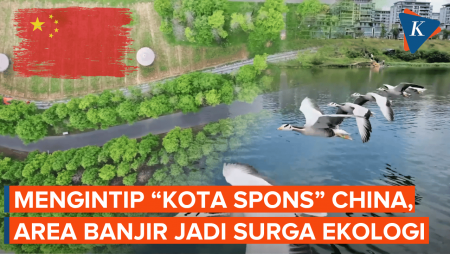 China Bangun “Kota Spons” Raksasa, Area Rawan Banjir Jadi Surga Ekologi