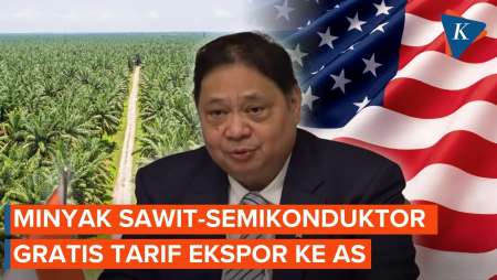 Minyak Sawit-Semikonduktor Indonesia "Gratis" Tarif Ekspor Ke AS