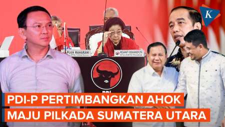 PDI-P Pertimbangkan Ahok Maju Pilgub Sumut, Tantang Menantu Jokowi