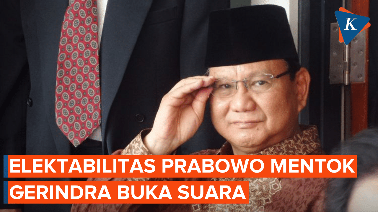 Elektabilitas Prabowo yang Disebut Sudah Mentok dan Berpotensi Turun, Ini Kata Gerindra
