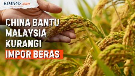 China Bantu Malaysia, Maksimalkan Sawah dan Tingkatkan Energi Hijau