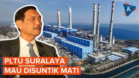 Luhut Mau Suntik Mati PLTU Suralaya demi Tekan Polusi, tapi…