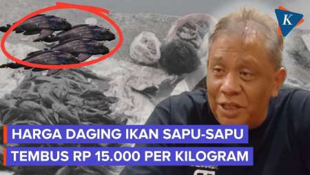 Daging Ikan Sapu-sapu Di Kali Pasar Baru Dijual Penjalanya Rp 15.000 Per Kilogram