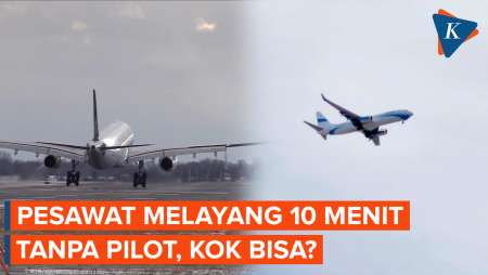 Bawa 199 Penumpang, Pesawat Lufthansa 