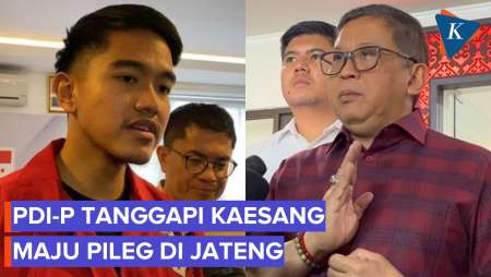 Hasto PDI-P Tanggapi Kaesang Maju Pileg Di Jateng