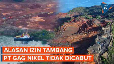 Kenapa Izin Tambang PT Gag Tidak Dicabut?
