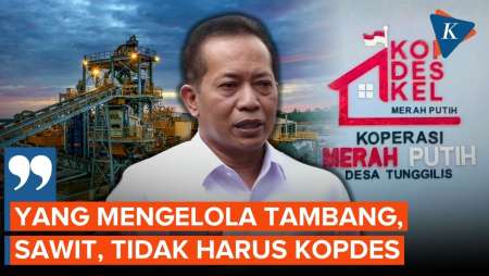 Menkop: Pengelolaan Tambang Dan Sawit Tak Harus Dilakukan Kopdes Merah Putih