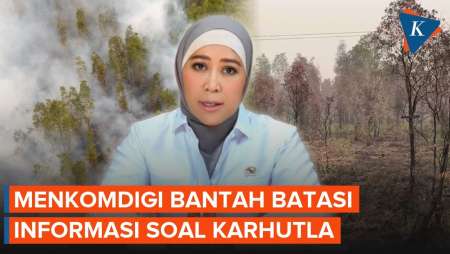 Meutya Hafid: Tidak Ada Permintaan dari Komdigi untuk Batasi Informasi Karhutla