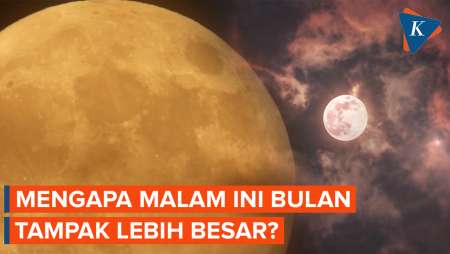 Mengapa Tadi Malam Bulan Tampak Lebih Besar?