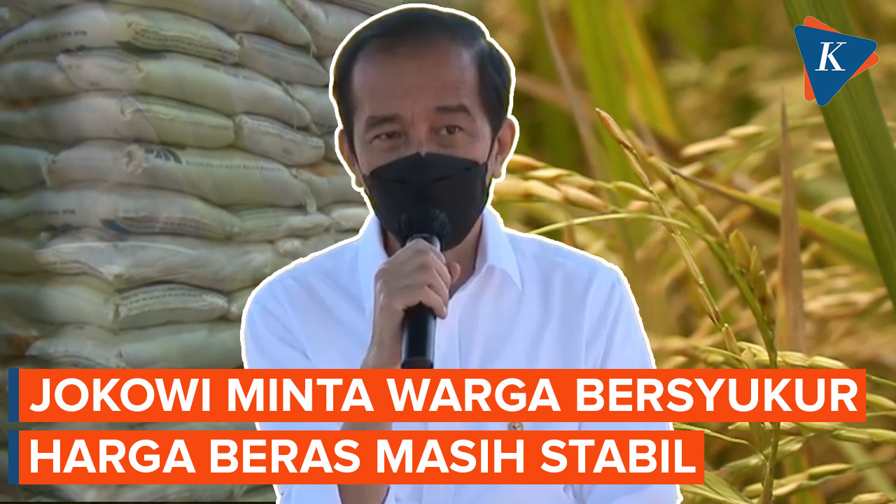 Jokowi Minta Rakyat Bersyukur karena Harga Beras Tidak Naik