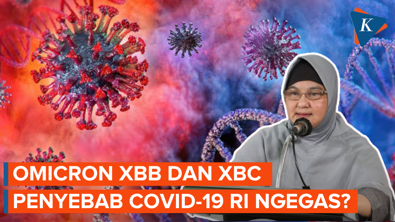 Peningkatan Kasus Covid-19 hingga Ancaman Omicron XBB dan XBC