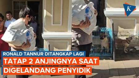 Detik-detik Ronald Tannur Tatap 2 Anjingnya Saat Digelandang Penyidik