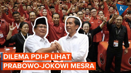 Kemesraan Prabowo-Jokowi, Buat PDI-P Khawatir