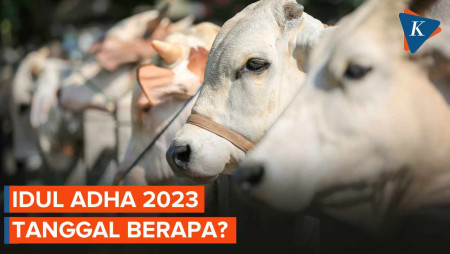 Idul Adha 2023 Tanggal Berapa? Pemerintah dan Muhammadiyah Potensi Beda?