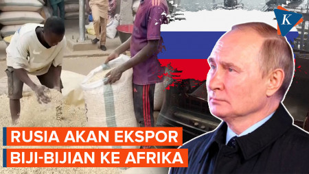 Rusia Gantikan Ukraina Ekspor Biji-bijian ke Afrika