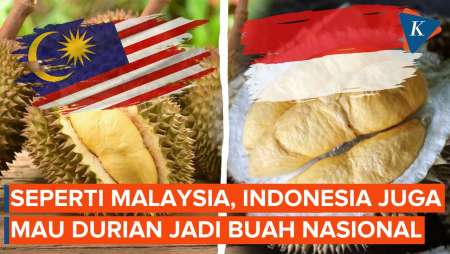 Tak Cuma Malaysia, Indonesia Juga Mau Durian Jadi Buah Nasional