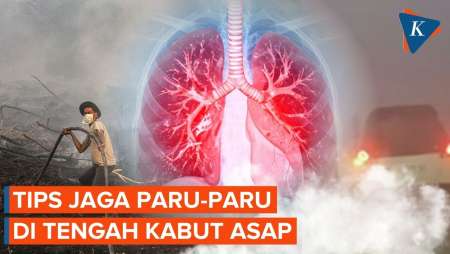 Cara Menjaga Kesehatan Paru-paru Di Tengah Paparan Kabut Asap