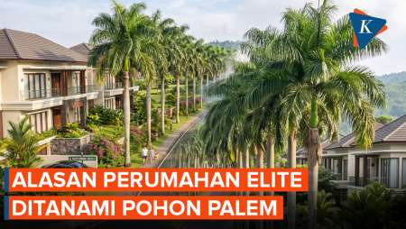 Kenapa Perumahan Elite Ditanam Pohon Palem Ketimbang Asam Jawa?