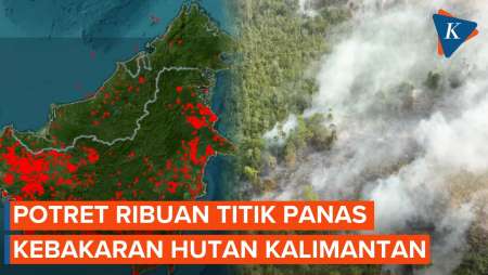 Potret Udara Karhutla Di Kalimantan, Kabut Asap Juga Ancam Malaysia