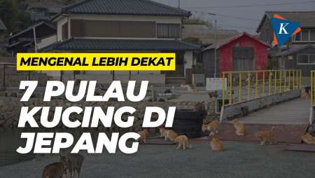 Mengenal Lebih Dekat 7 Pulau Kucing di Jepang