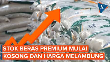 Harga Beras di Ritel Tinggi dan Stok Mulai Kosong, Akankah…