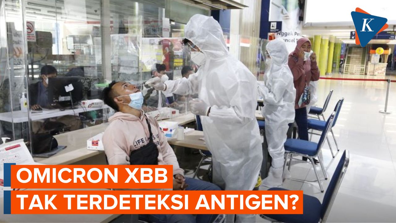 Klarifikasi IDI soal Omicron XBB yang Disebut Tak Terdeteksi Antigen