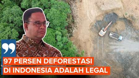 Anies Baswedan Ungkap 97 Persen Kerusakan Hutan Di Indonesia Berizin