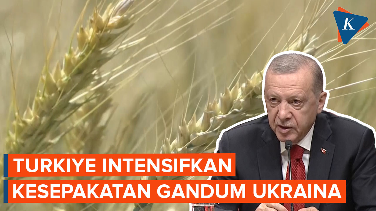 Erdogan Intensifkan Kesepakatan Ekspor Gandum Ukraina