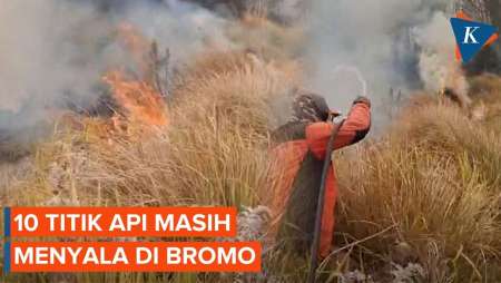 Kebakaran Bromo Kembali Terjadi, 10 Titik Api Masih Menyala Di Tebing Curam