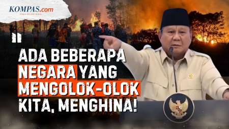 Prabowo Sebut Negara Tetangga Hina RI Soal Karhutla, Ancam Bongkar Nama-nama Perusahaan Asing