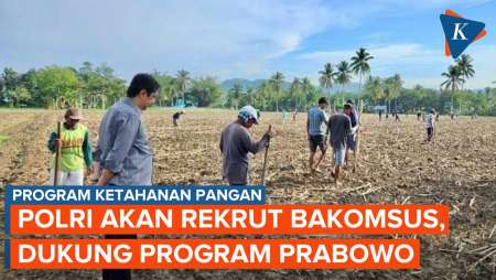 Polri Rekrut Bintara Khusus Dukung Program Prabowo, Tugasnya Tanam Palawija dan Urus Makan Bergizi