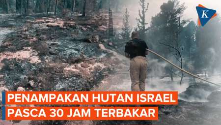 Penampakan Hutan Israel Usai Terbakar Lebih dari 30 Jam