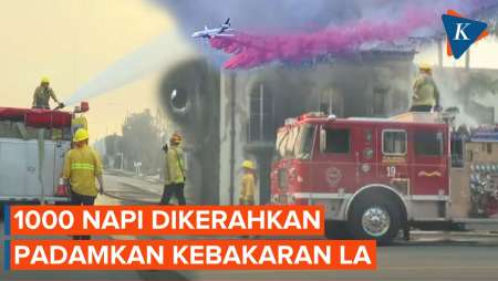 1.000 Napi Dikerahkan Ikut Padamkan Kebakaran Los Angeles