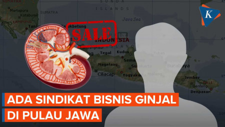 Sindikat Bisnis Ginjal Antarnegara Masih Ada di Pulau Jawa