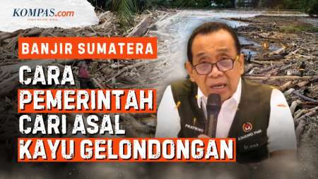 Cara Pemerintah Cari Tahu Soal Kayu Gelondongan Di Banjir Sumatera