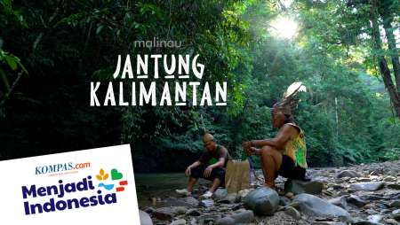 Menjaga Hutan di Malinau, Jantung Kalimantan dan Paru-paru Dunia | MENJADI INDONESIA