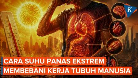 Telan Banyak Korban di Eropa, Begini Cara Suhu Panas Ekstrem Memengaruhi Kehidupan Manusia