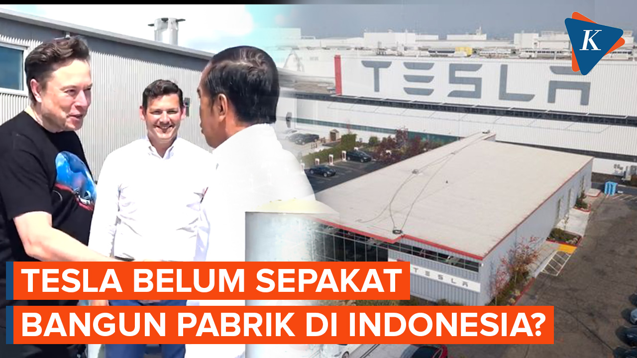Jubir Luhut Belum Terima Perkembangan, Kesepakatan Tesla-Indonesia Isapan Jempol Belaka?