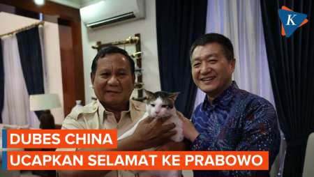 Dubes China Temui Prabowo Ucapkan Selamat, Bobby The Cat Turut Tampil