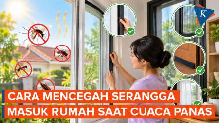 Cara Cegah Serangga Masuk Rumah Saat Cuaca Panas